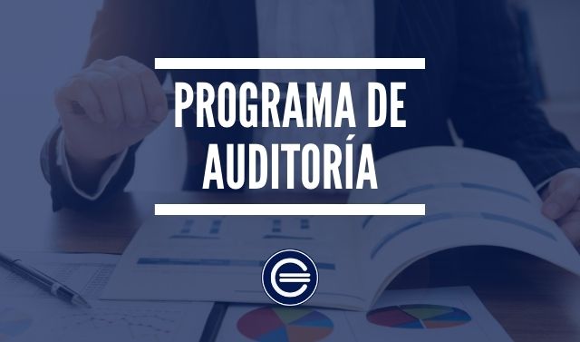 Programa De Auditor A Economipedia