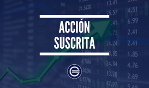 Accion Suscrita