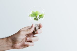 Agencia Internacional De La Energía