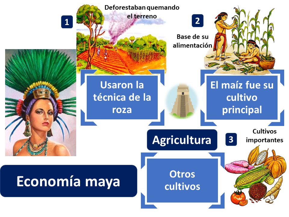 Agricultura Economía Maya