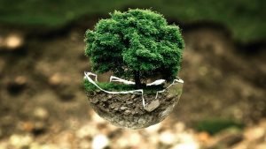 Agricultura Ecologica