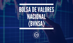 Bolsa De Valores Nacional Bvnsa