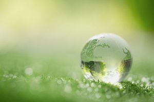 Close Up Of Crystal Globe Resting On Grass In A Forest Environment Concept