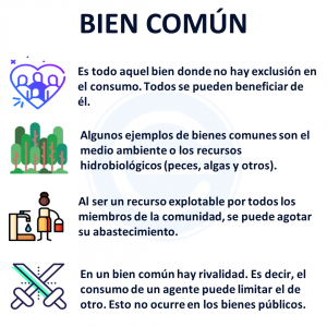 Bien Común