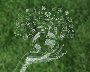 Bioeconomia