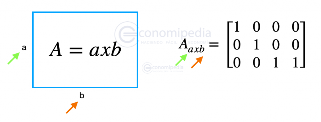 Orden De Matriz Definicion De Matriz Cuadrada Y Matriz Nula Matrices ...