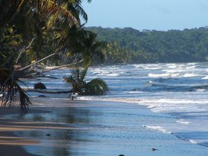 Caribe