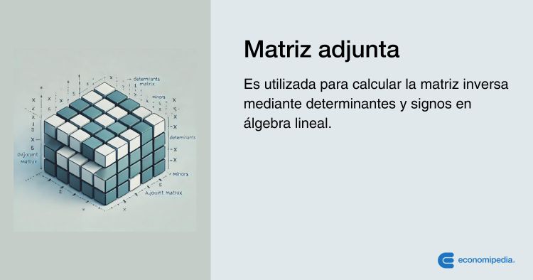 Definición De Matriz Adjunta