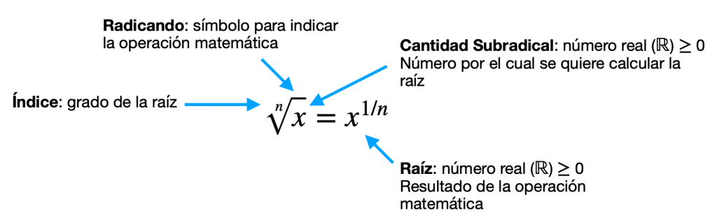 Esquema Raiz 1
