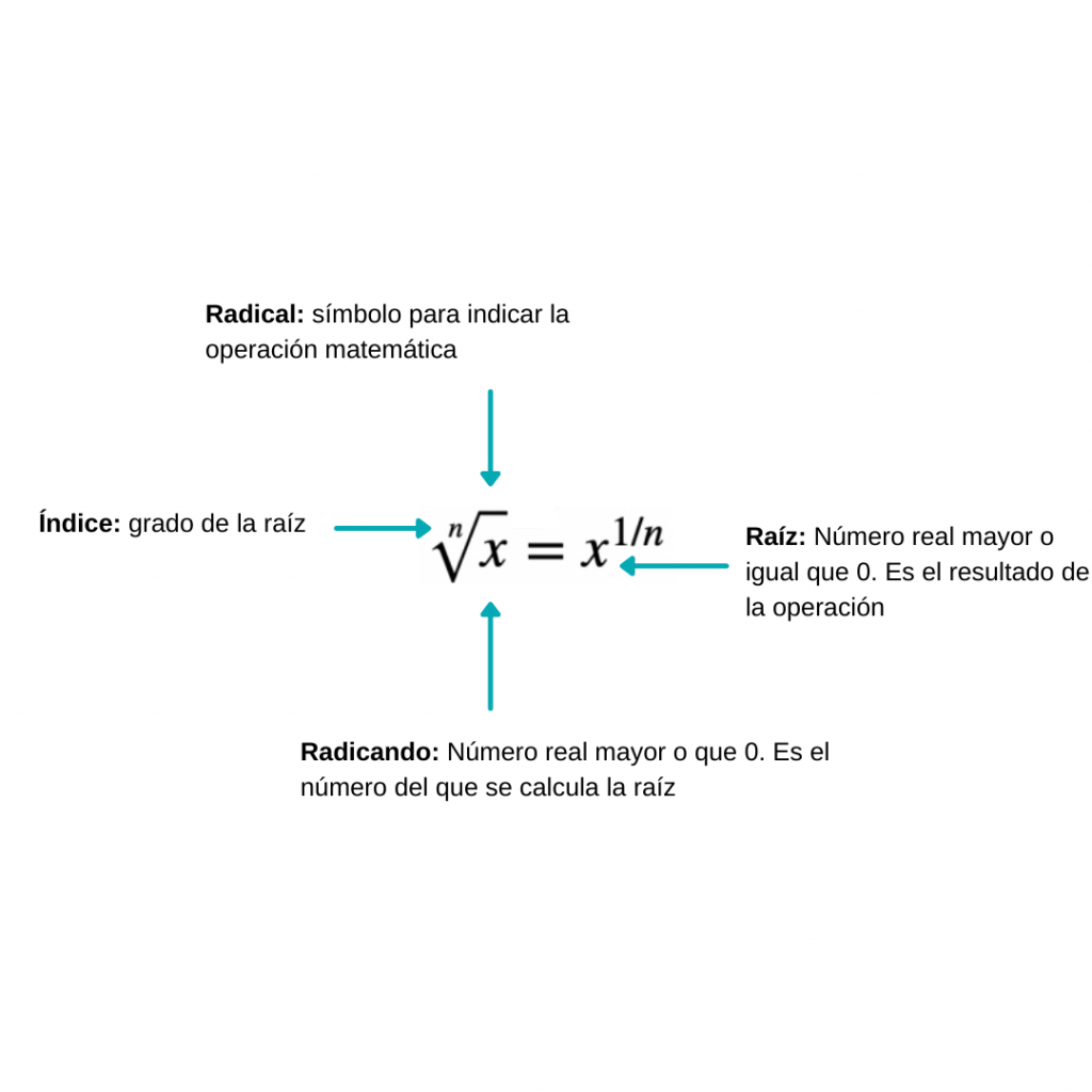 Esquema Raiz Cuadrada