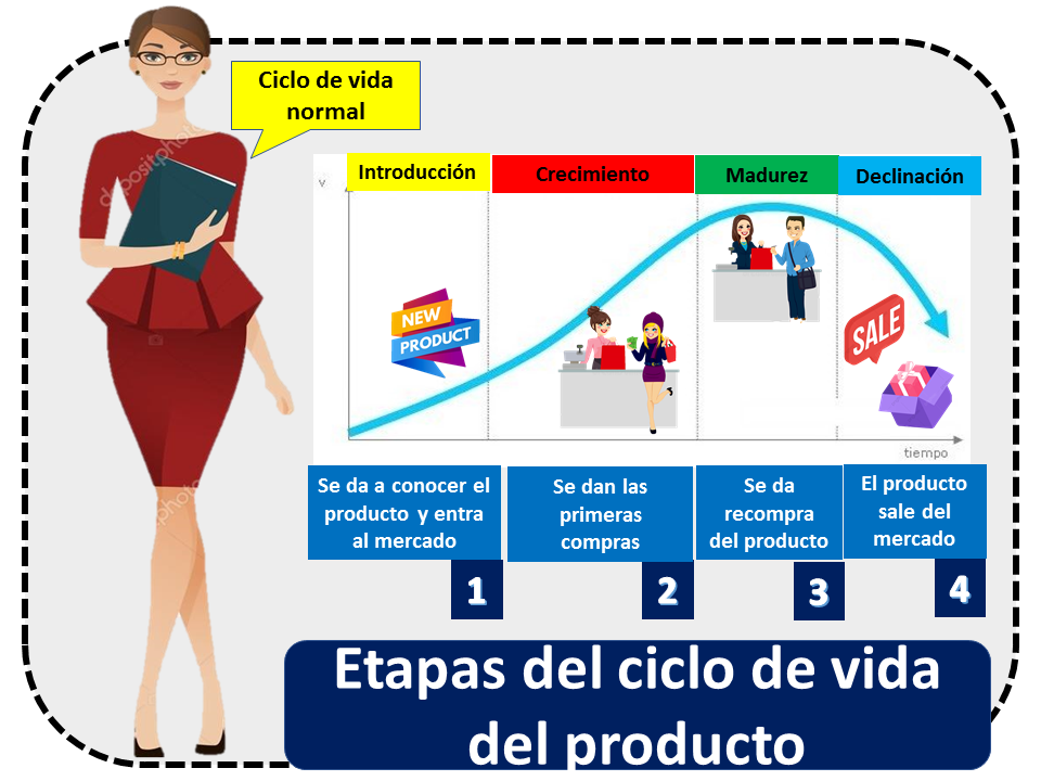 Etapas Del Ciclo De Vida De Un Producto 2022 Economipedia 