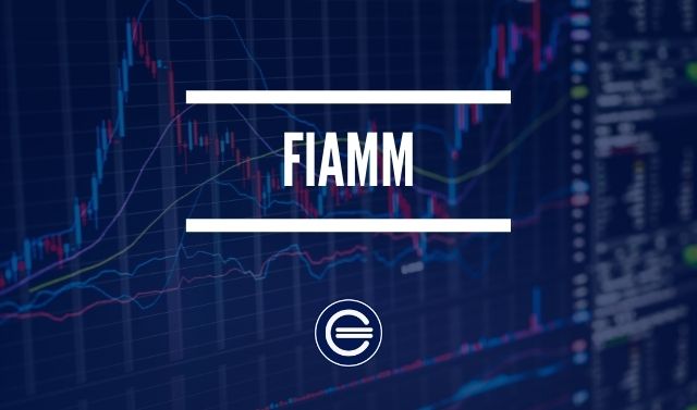 Fondos de inversión en activos del mercado monetario (fiamm)