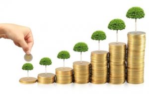 Fondo De Inversión Moderado