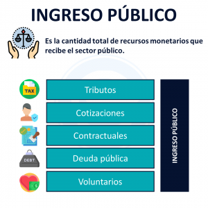 Ingreso Público