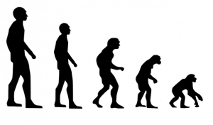 Involución