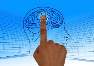 Lavado De Cerebro