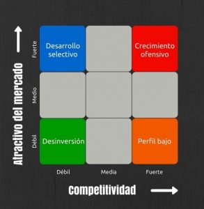 Matriz Mckinsey