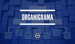 Organigrama