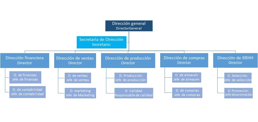 Organigrama Estructural Qué Es Definición Y Concepto 2021 Free 5941