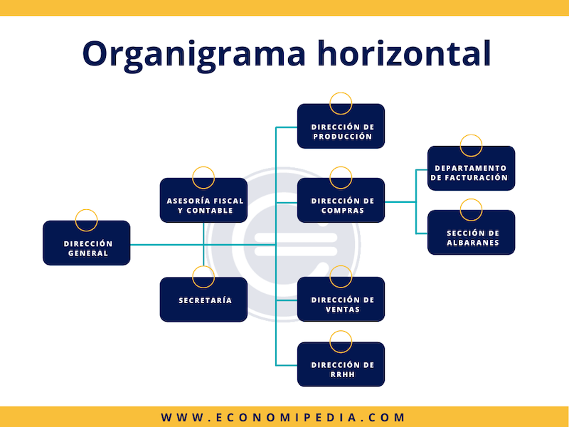 Organigrama horizontal - Qué es, definición y concepto | 2023 | Economipedia