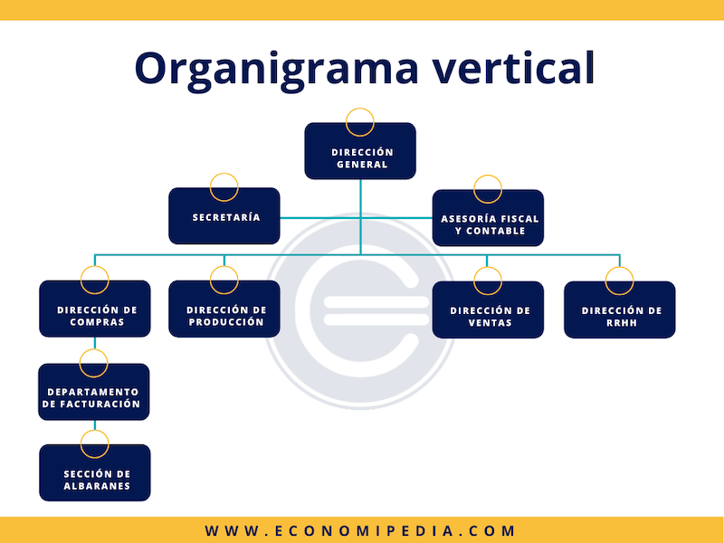 Organigrama vertical - Qué es, definición y concepto | 2023 | Economipedia