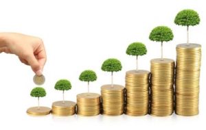 Planificación Patrimonial