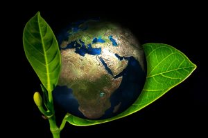 Política Ambiental