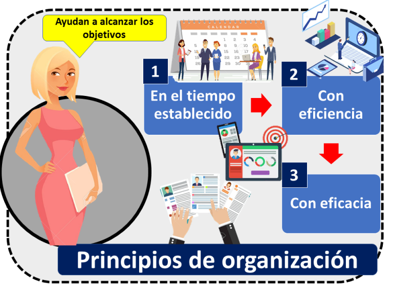 Principios De La Organización Qué Es Definición Y Concepto