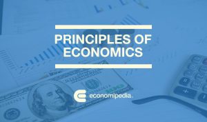 Principles Of Economics
