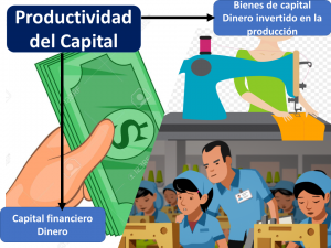 Productividad Del Capital