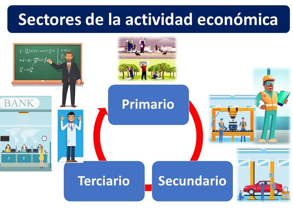 Sectores De La Actividad Esonómica 1