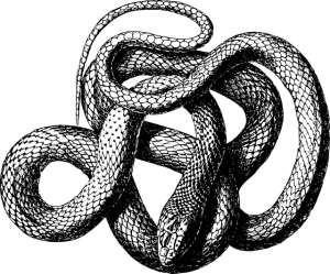 Serpiente Monetaria