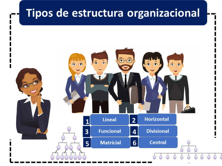 estructura organizacional qué es definición y concepto