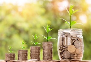 Viabilidad Económica