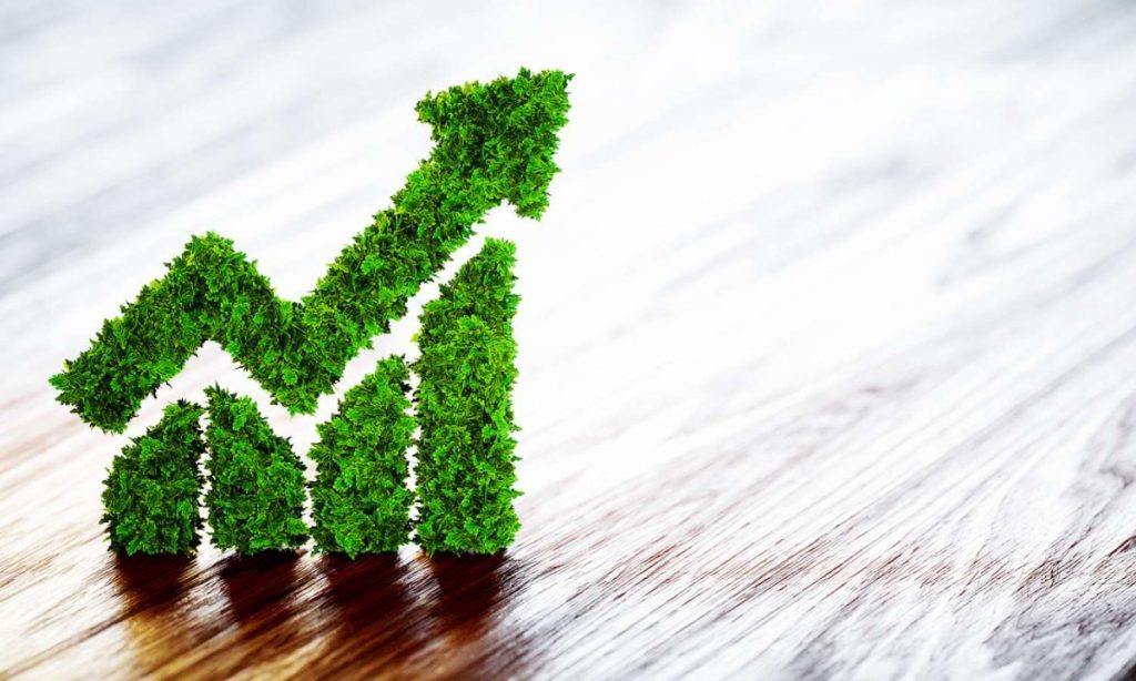 Foto De Sostenibilidad Empresarial