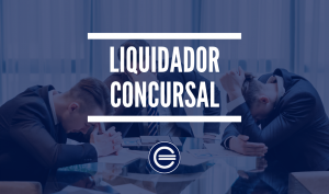 Liquidador Concursal
