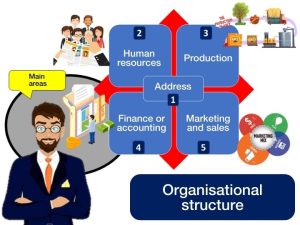 Organisational Structure