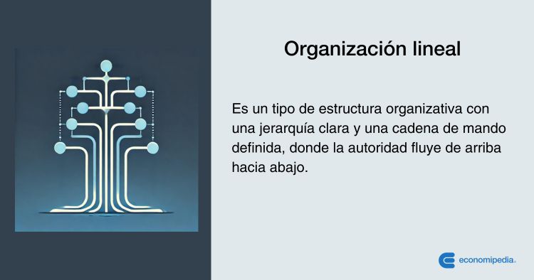 Organización Lineal Qué Es