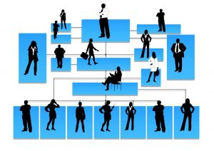 Organizacion Social