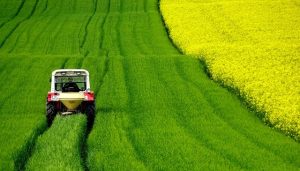 Produccion Agricola