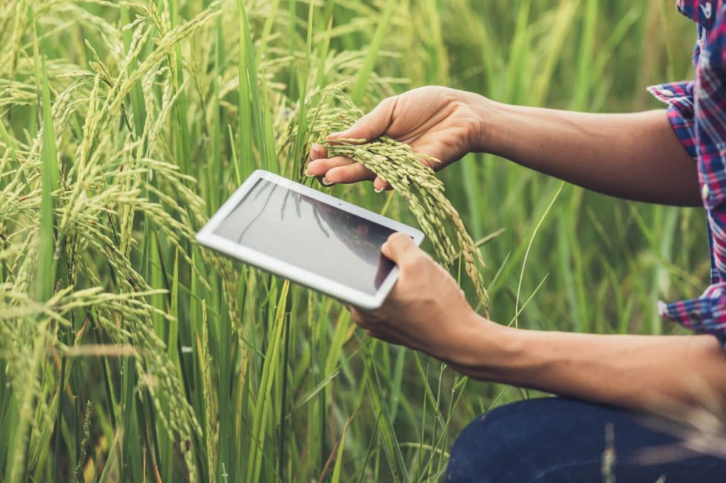 Tecnologias Mejoran La Agricultura Organica