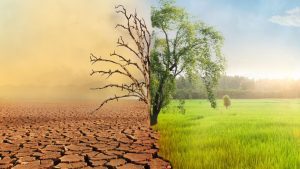 ¿cómo Afecta El Clima A La Economía
